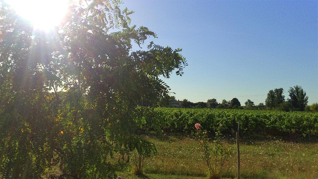 Le Soleil En Gironde Villa Vrillant Ngoại thất bức ảnh